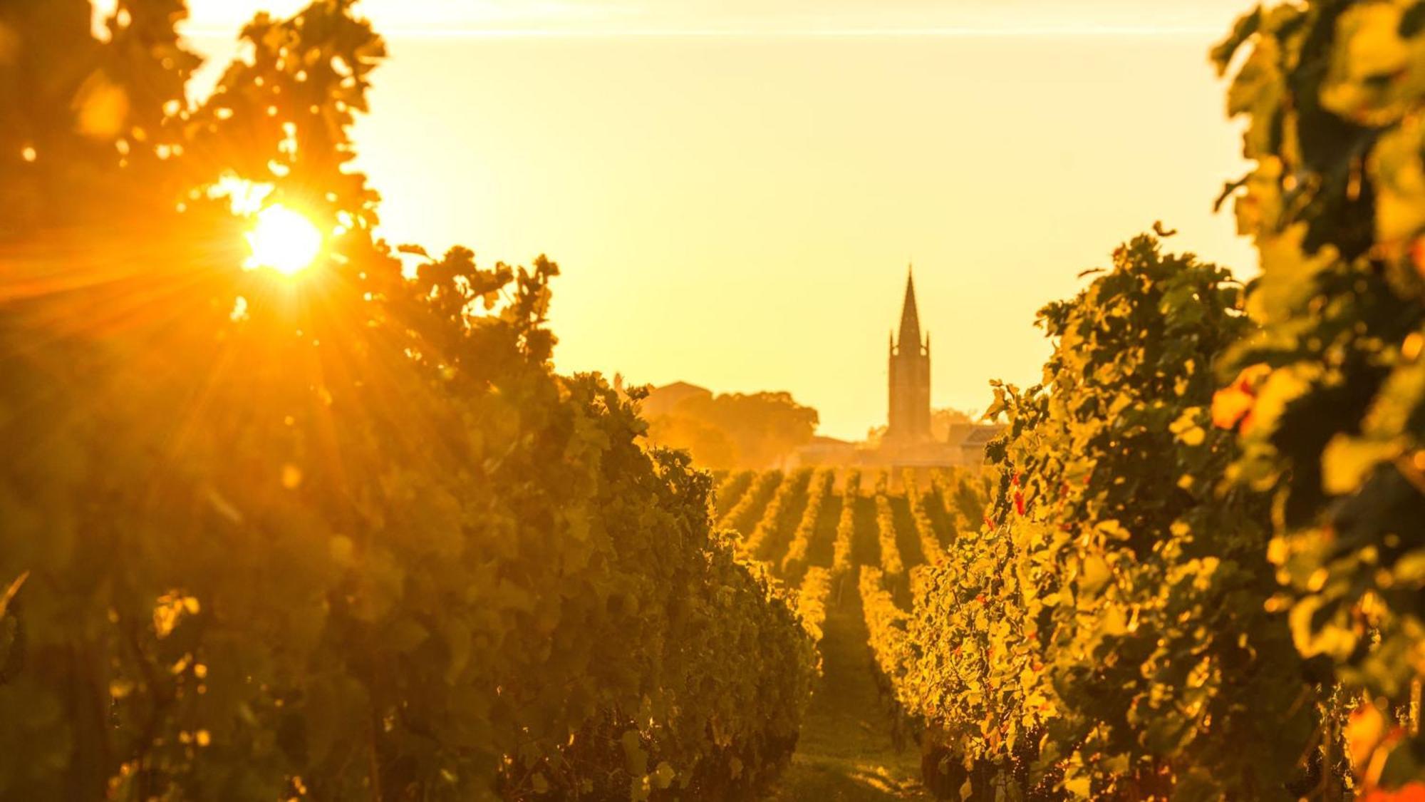 Intercontinental Bordeaux Le Grand Hotel By Ihg Exterior foto Vineyards in the Rheinhessen